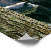 テキサス州Longhorn Cow Poster – カスタマイズ可能な表現 ポスター (角)