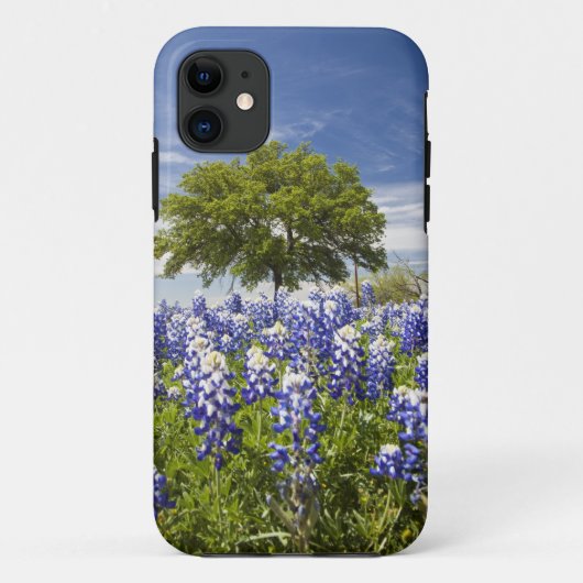テキサス・ブルーボネット(Lupinus texensis)とオークの木 Case-Mate iPhoneケース (裏面)