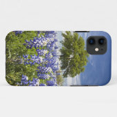 テキサス・ブルーボネット(lupinus texensis)とオークの木 Case-Mate iPhoneケース (裏面(横))