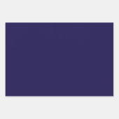 テキサス ブルー ボネット ブリッツ デザイン ラッピングペーパーシート (正面3)