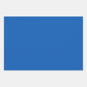 テキサス ブルー ボネット ブリッツ デザイン - 空の青と緑 ラッピングペーパーシート (正面3)