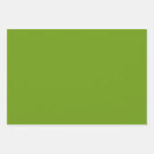 テキサス ブルー ボネット ブリッツ デザイン - 空の青と緑 ラッピングペーパーシート (正面2)