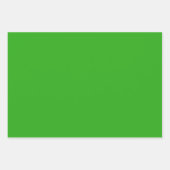 テキサス ブルー ボンネット ブリッツ デザイン ラッピングペーパーシート (正面2)