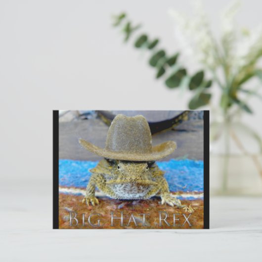 テキスのいとこは…bIgアットレックス ポストカード (スタンド正面)