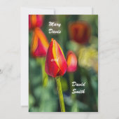 テキスタイルチューリップガーデンウェディング 招待状 (裏面)