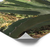 テキーラ工場 ポスター (角)