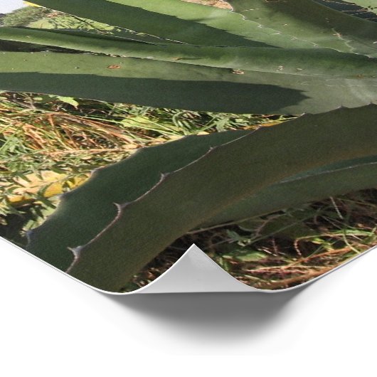 テキーラ工場 ポスター (角)