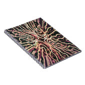 テクスチストライプのャ ノートブック (右側)