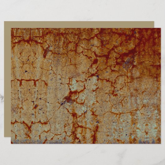 テクスチャのオレンジ色の錆のヴィンテージ素朴分離 (正面/裏面)