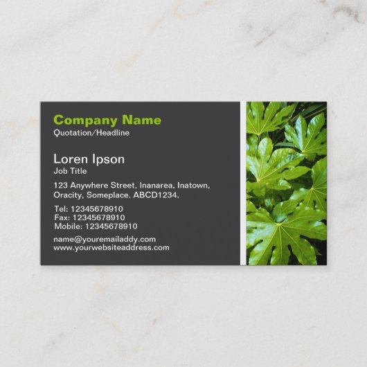 テクスチャのトーン葉- 名刺 (正面)