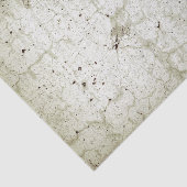 テクスチャのモノクロベージュヴィンテージの素朴分離 薄葉紙 (詳細)