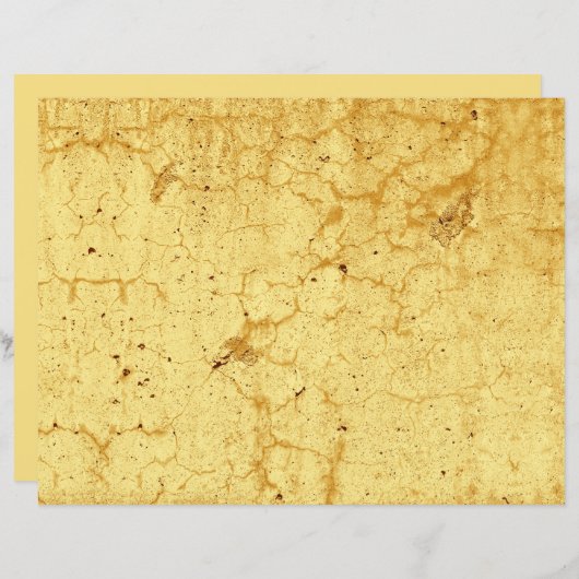 テクスチャイエローヴィンテージアンティーク素朴分離 (正面/裏面)