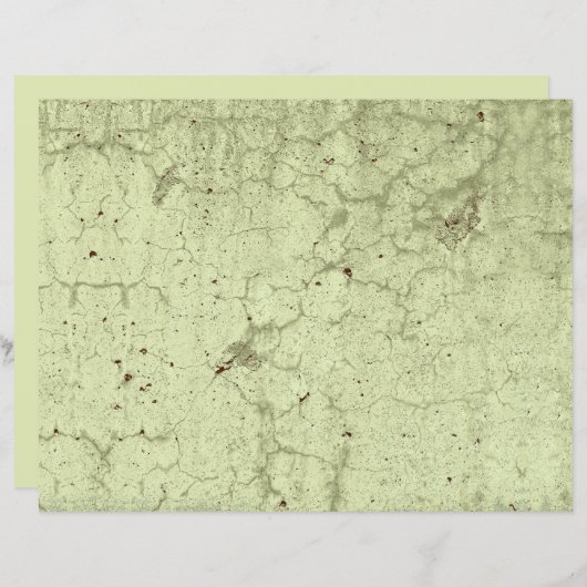 テクスチャオリーブ緑のヴィンテージ素朴分離 (正面/裏面)