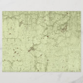 テクスチャオリーブ緑のヴィンテージ素朴分離 (正面)