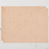 テクスチャグランジベージュ背景ジャンクジャーナル紙 (正面/裏面)