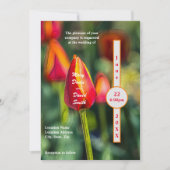 テクスチャチューリップ庭園の結婚式 招待状 (正面)