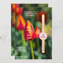 テクスチャチューリップ庭園の結婚式