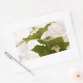 テクスチャドッグウッドバンチベリー 長方形シール (封筒)