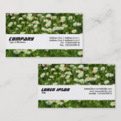 テクスチャバンド – デイジーメドウ 名刺 (正面/裏面)