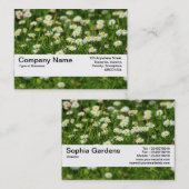 テクスチャバンドV2 -デイジー草原 名刺 (正面/裏面)