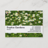 テクスチャバンドV2 -デイジー草原 名刺 (裏面)