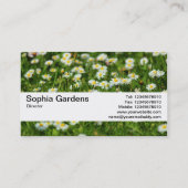 テクスチャバンドV2 -デイジー草原 名刺 (裏面)