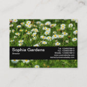 テクスチャバンドV2 -デイジー草原 名刺 (裏面)