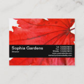 テクスチャバンドV2 – リーフ日本のメープル 名刺 (裏面)