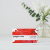 テクスチャバンドV2 - 日本のメープルリーフ 名刺 (スタンド正面)