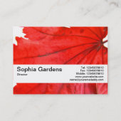 テクスチャバンドV2 - 日本のメープルリーフ 名刺 (裏面)