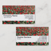 テクスチャバンドV2 – 赤いチューリップとプリムローズ 名刺 (正面/裏面)