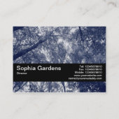 テクスチャバンドV2 – 青い秋 名刺 (裏面)
