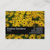 テクスチャバンドV2 – 黒い目のサザンズ(Rudbeckia Hir) 名刺 (裏面)