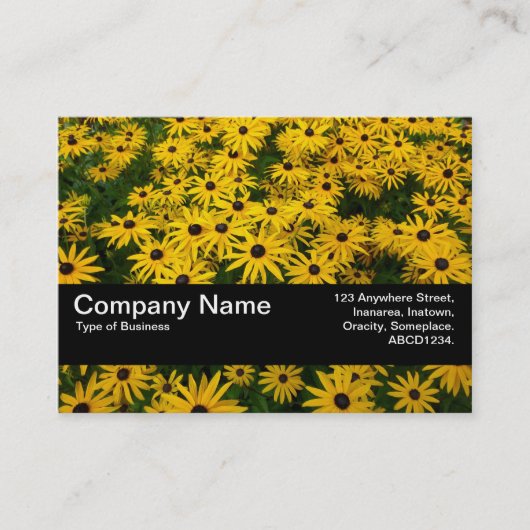 テクスチャバンドV2 – 黒い目のサザンズ(Rudbeckia Hir) 名刺 (正面)