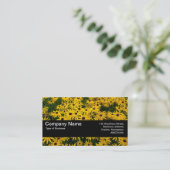 テクスチャバンドV2 – 黒い目のサザンズ(Rudbeckia Hir) 名刺 (スタンド正面)