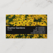 テクスチャバンドV2 – 黒い目のサザンズ(Rudbeckia Hir) 名刺 (裏面)