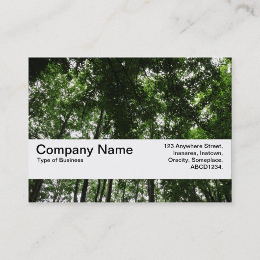 テクスチャバンドV2 - Woodland Canopy 01 名刺 (正面)