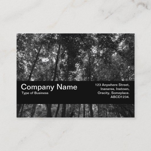 テクスチャバンドV2 - Woodland Canopy 02 BW 名刺 (正面)