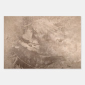 テクスチャヴィンテージ茶ベージュグランジタン ラッピングペーパーシート (正面3)