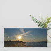 テクスチャードサンセットバイシャーリーテイラー (スタンド正面)