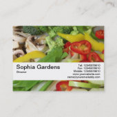 テクスチャーバンドV2 – 野菜炒め02 名刺 (裏面)