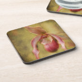 テクスチャーレディスリッパーオーキッド コースター (左側)