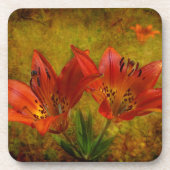 テクスチャ付きプレーリーアイコン コースター (正面)