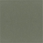 テクスチャ付きMossグリーンシール – カスタマイズ可能 シール (正面)