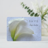 テクスチャ紙上の2つのタラのユリ セーブザデート (スタンド正面)