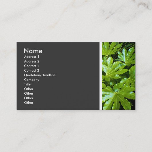 テクスチャ葉トーン(II) 名刺 (正面)