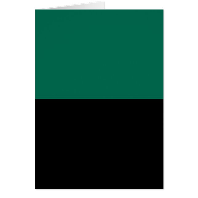 テクセル国旗 (正面)