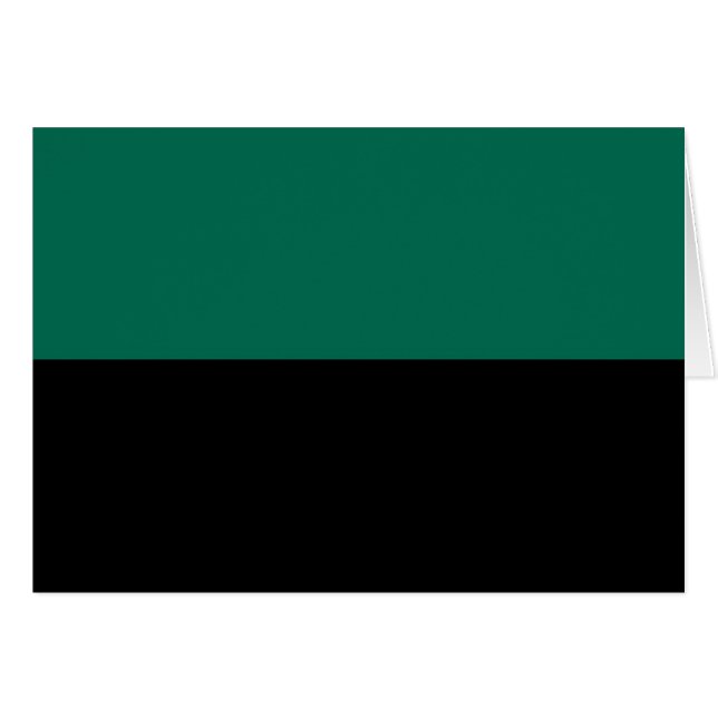 テクセル国旗 (正面横)