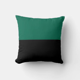 テクセル国旗 クッション