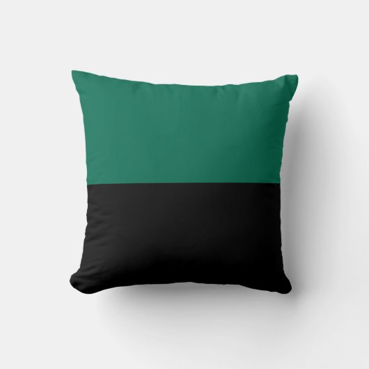 テクセル国旗 クッション (正面)